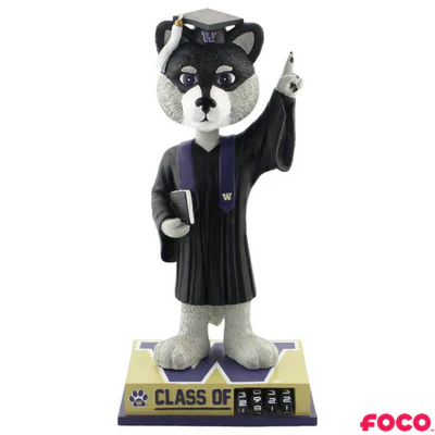 Graduation Mascot Bobbleheads - Image 25